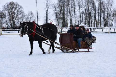 Kulig w SK *DWORNA* w Rogoźniku (13 styczeń 2019)