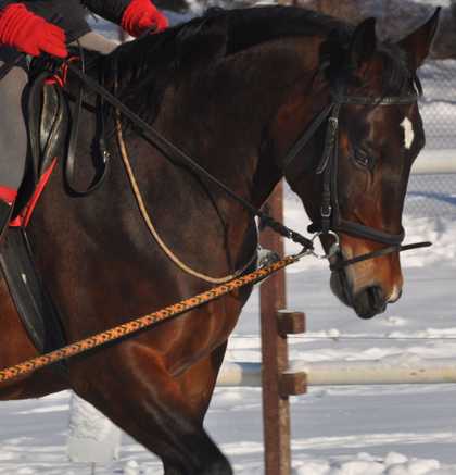 DOBRZYNKA