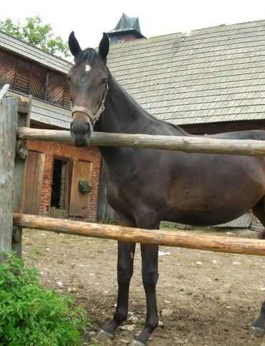 GALAHAD