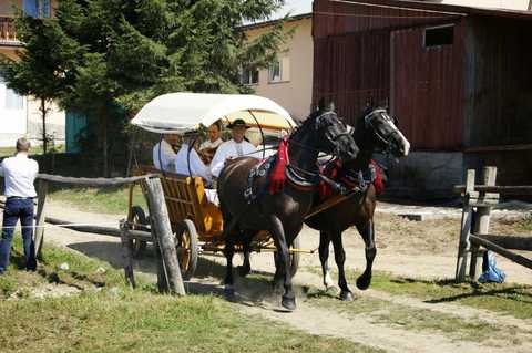 VII Zawody Jeździeckie w Rogoźniku - Skoki (18 sierpień 2013r. )