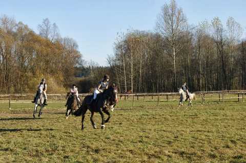 Hubertus w SK *Dworna* (26 październik 2013r.)