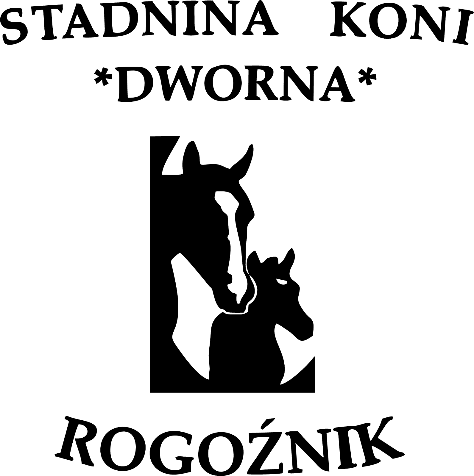 HIPOTERAPIA